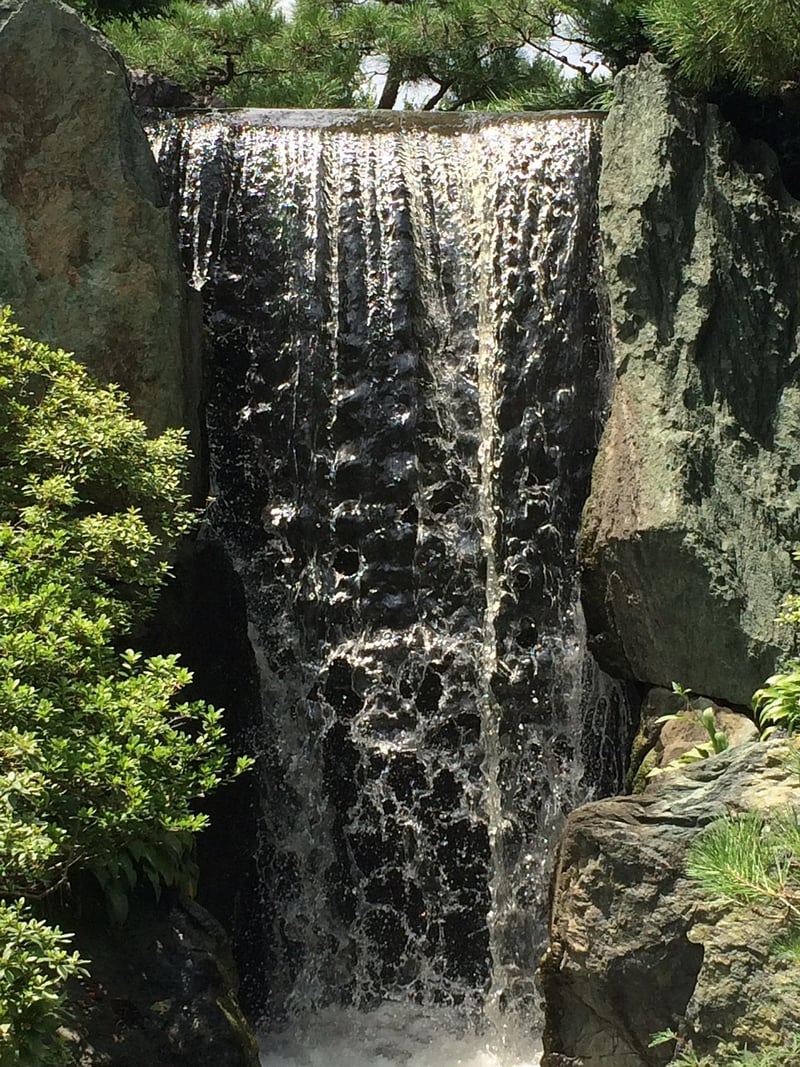 Botanical Garden Waterfall